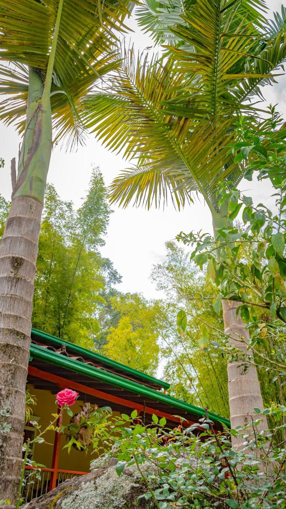 Kantarrana Casa De Campo Jardin Exterior foto